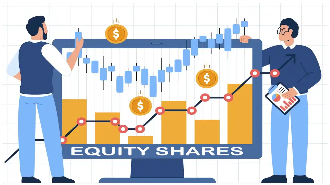Types of Equity Shares-What are the Types of Equity Shares-What are Equity Shares Types